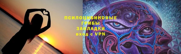 стафф Михайлов
