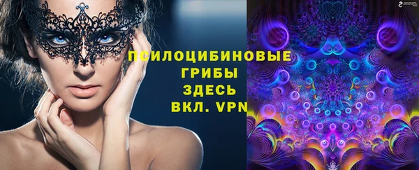 стафф Михайлов
