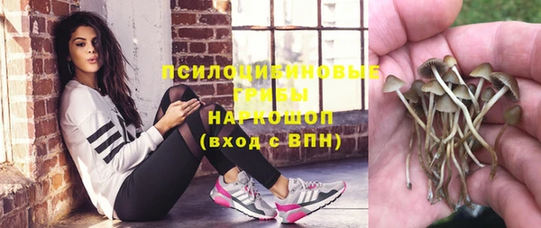 стафф Михайлов