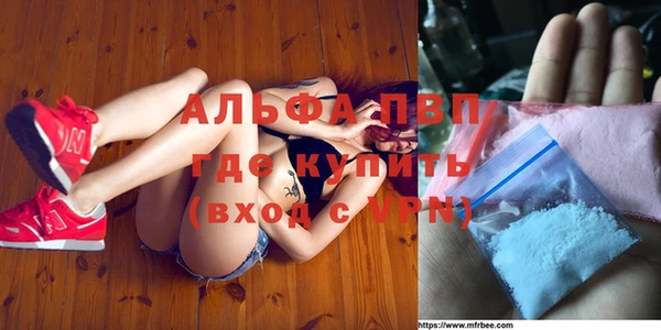 стафф Михайлов