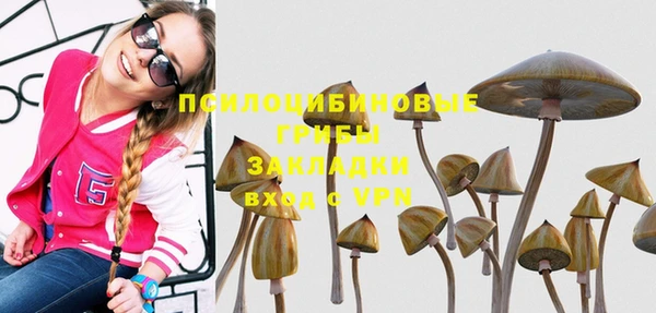 стафф Михайлов