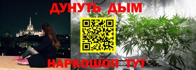 индика Комсомольск-на-Амуре