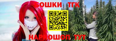 индика Комсомольск-на-Амуре