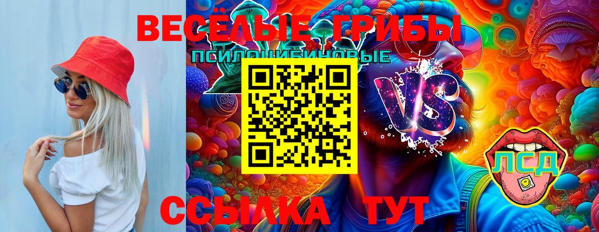 Фурманов  Псилоцибиновые грибы Magic Shrooms  Вход с VPN  Галлюциногенные грибы Cubensis 